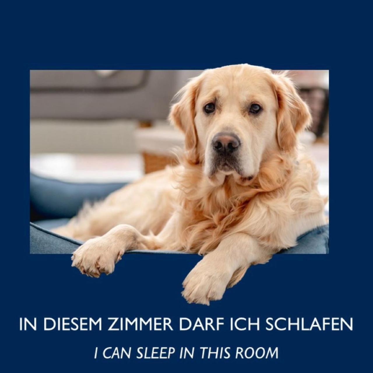 City Hotel Dresden Radebeul Pokój zdjęcie